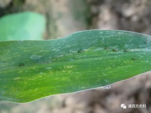 ���הQ����ô�k����ץ�o��Q��(hu��)Ӱ푮a(ch��n)��!!!