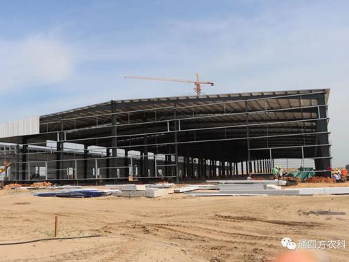 圖為通四方農(nóng)科成品倉(cāng) 圖為通四方農(nóng)科成品倉(cāng)