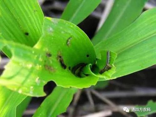 ���הQ����ô�k����ץ�o��Q��(hu��)Ӱ푮a(ch��n)��!!!