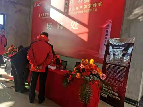 ����_������|����ʡ����