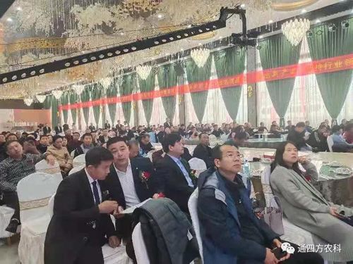 ȫ�S�C�o��ÿһλ�͑���������ȥ�P(gu��n)ע���Ε�(hu��)�h�ă�(y��u)������